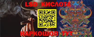 прущие грибы Малгобек