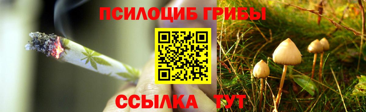 Россия  Псилоцибиновые грибы Psilocybine cubensis  Вход с VPN  Псилоцибиновые грибы мицелий 